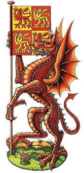 Dan-Escott-The-Dragon-of-Cadwaladr